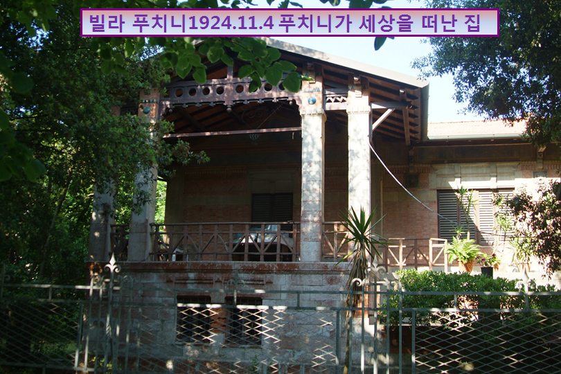p14.jpg
