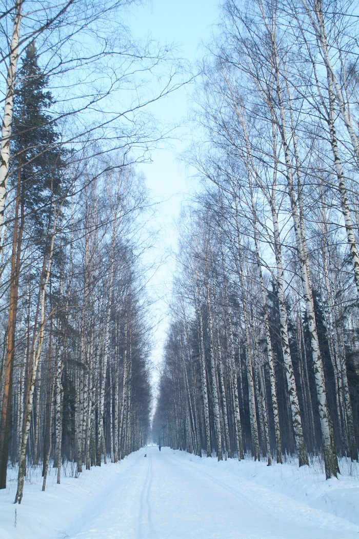cl0005.jpg